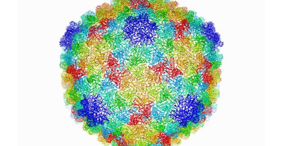 cryoem visualization