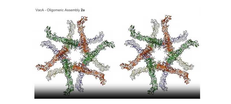 image of macromolecular assemblies